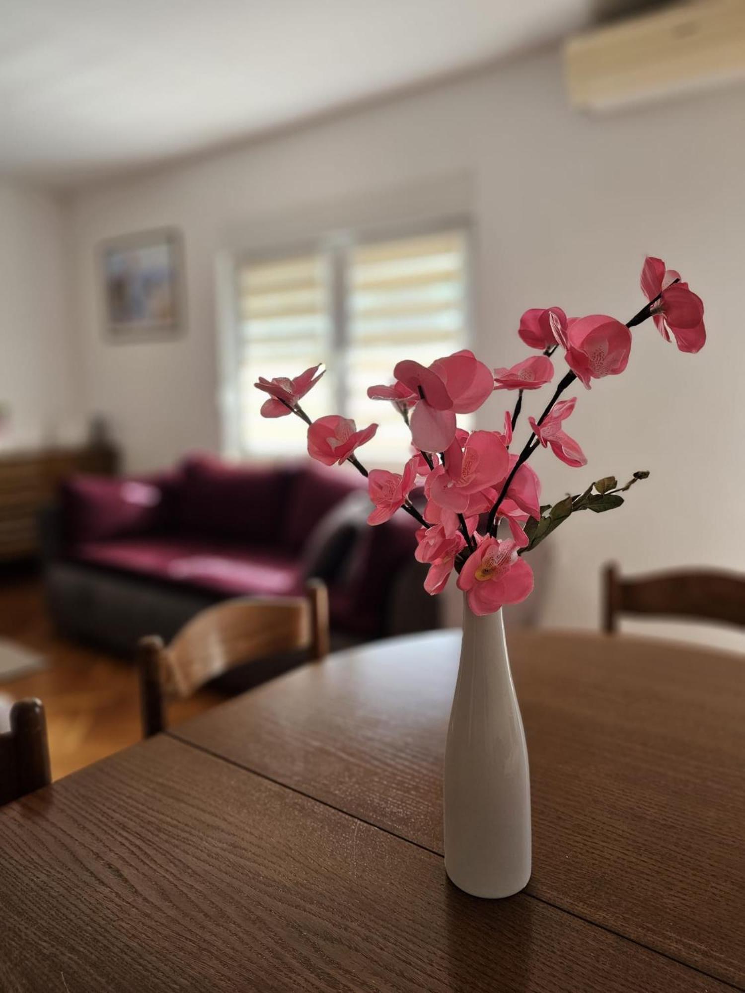 Apartment Vesna Podaca Bagian luar foto